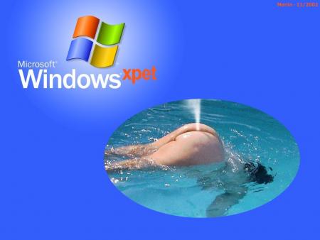 La nouvelle version de windows